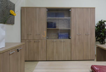 Кабинет руководителя Патриот